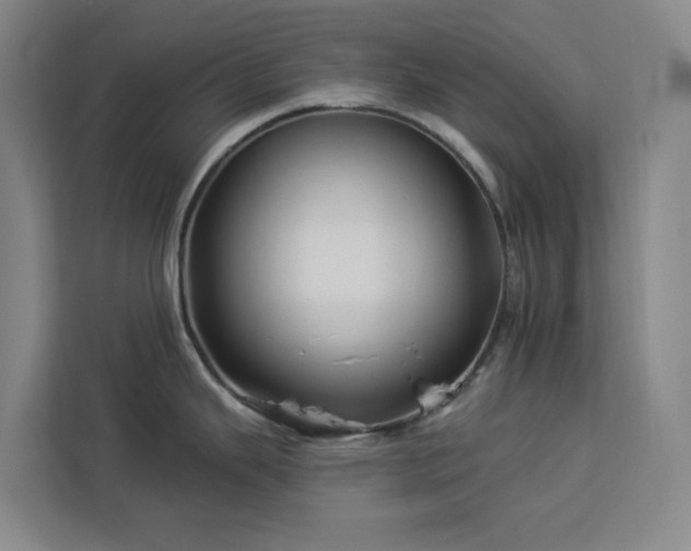 X0000112941343200908311441
