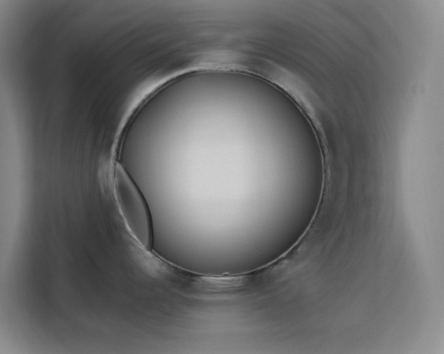 X0000112941344200908311441