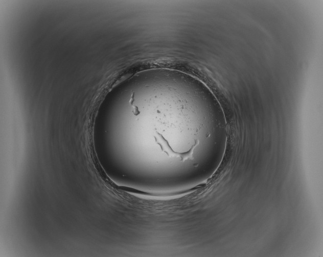 X0000112941345200908311441