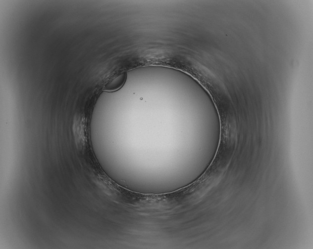 X0000112941346200908311441