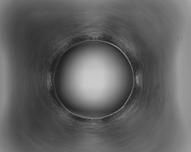 X0000112941347200908311441