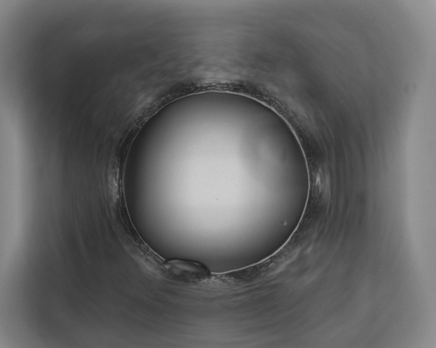 X0000112941348200908311441