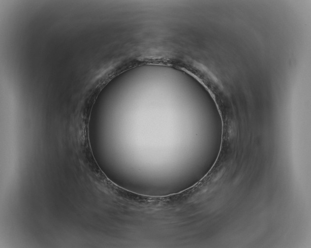 X0000112941350200908311441