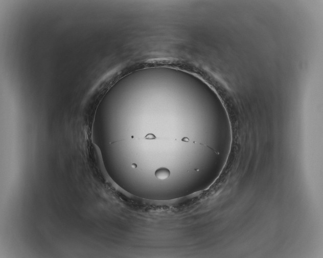 X0000112941351200908311441