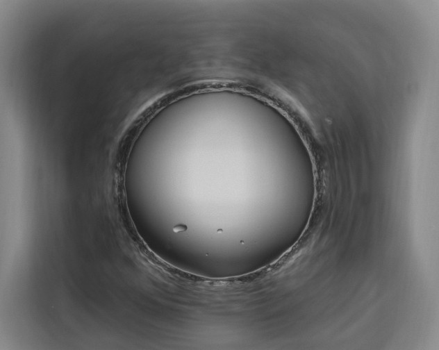 X0000112941352200908311441