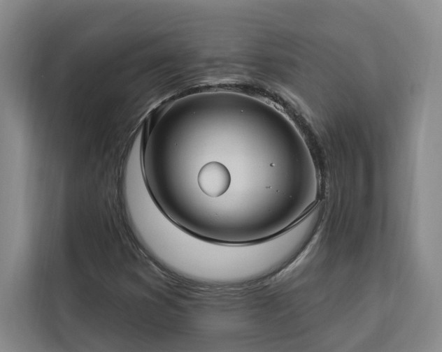 X0000112941353200908311441