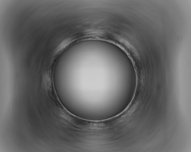 X0000112941354200908311440