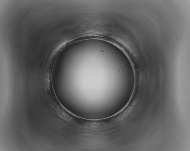X0000112941355200908311440