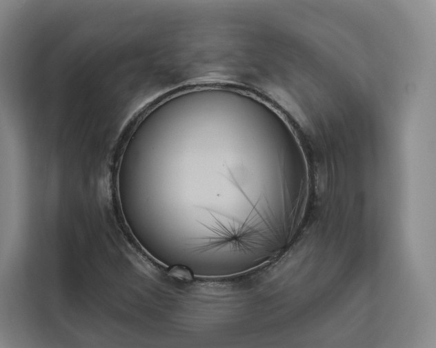 X0000112941356200908311440