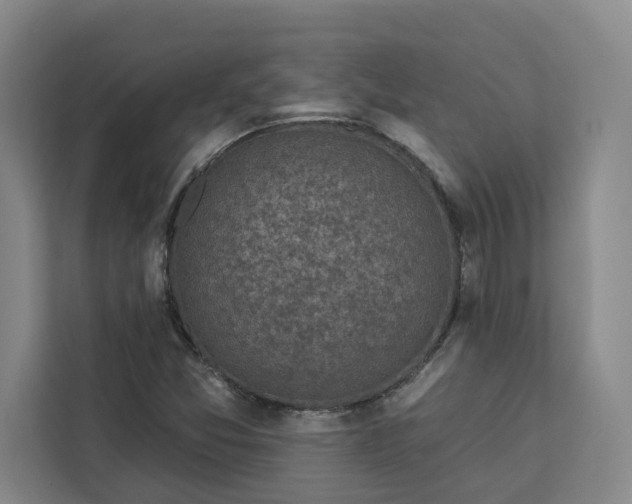 X0000112941357200908311440