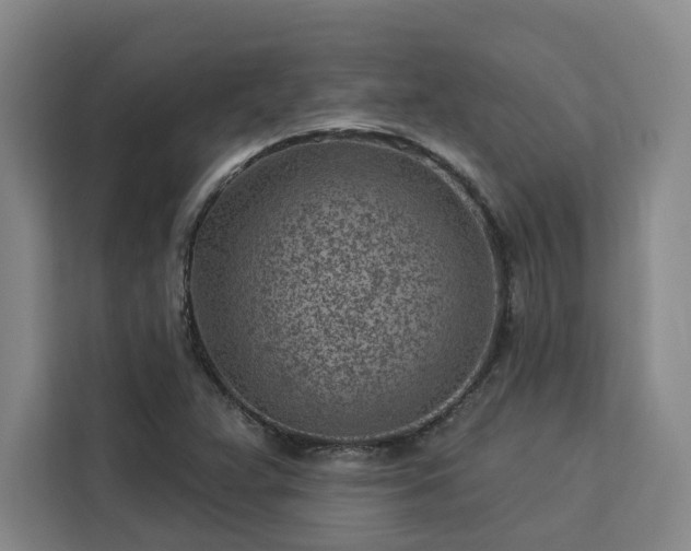 X0000112941359200908311440