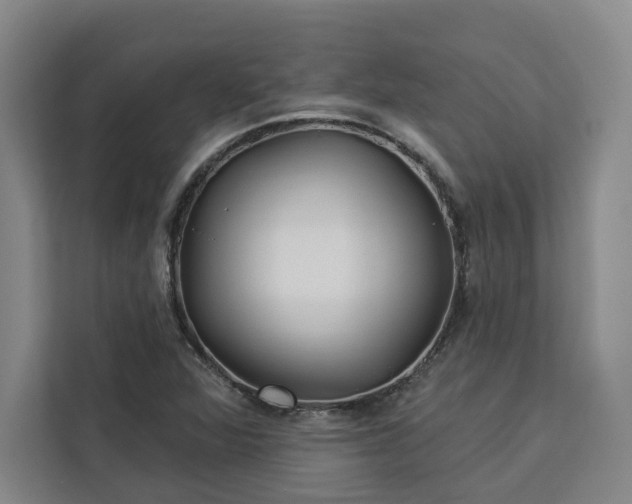 X0000112941360200908311440