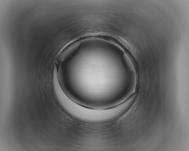 X0000112941361200908311440