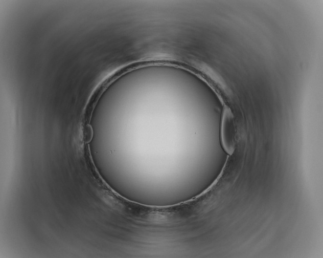 X0000112941364200908311440