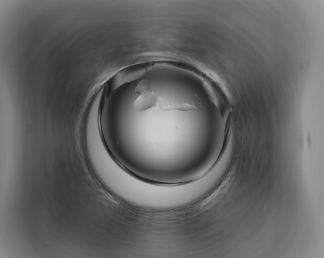 X0000112941365200908311440