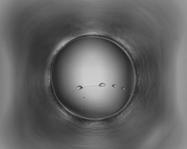 X0000112941367200908311440