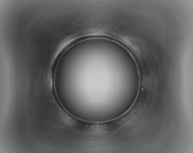 X0000112941368200908311440