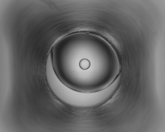 X0000112941369200908311440