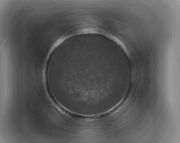 X0000112941373200908311440