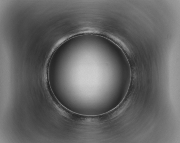 X0000112941375200908311440