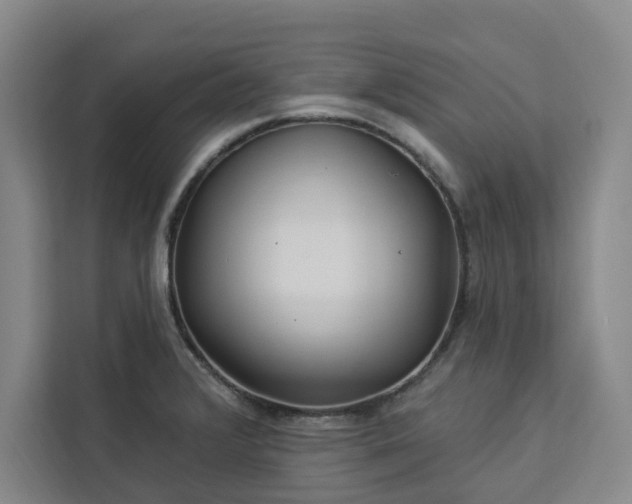 X0000112941376200908311440