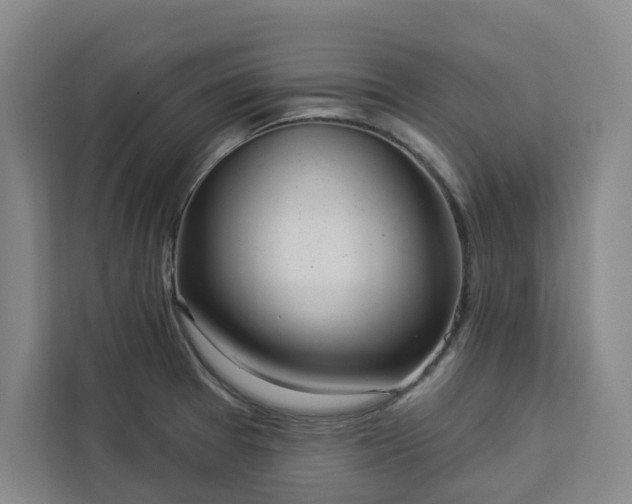 X0000112941377200908311440