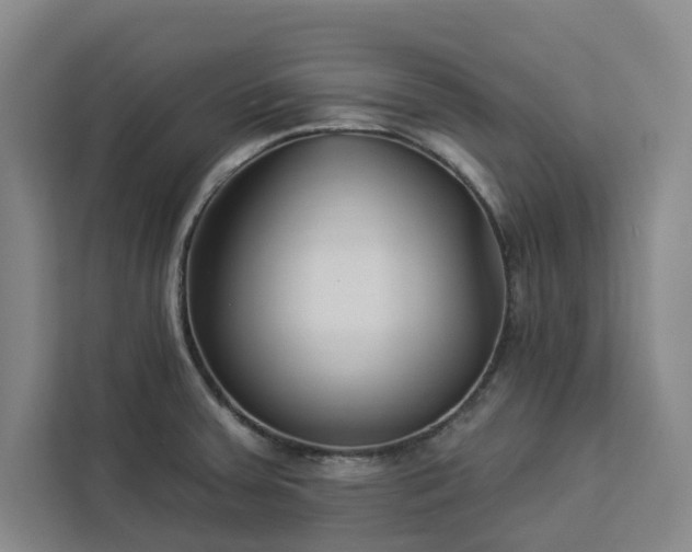 X0000112941379200908311440