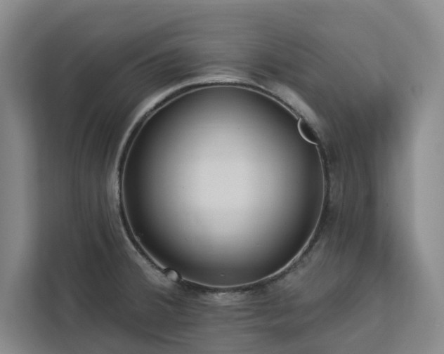 X0000112941380200908311440