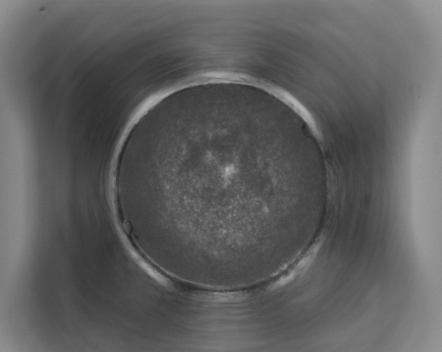 X0000112941381200908311440