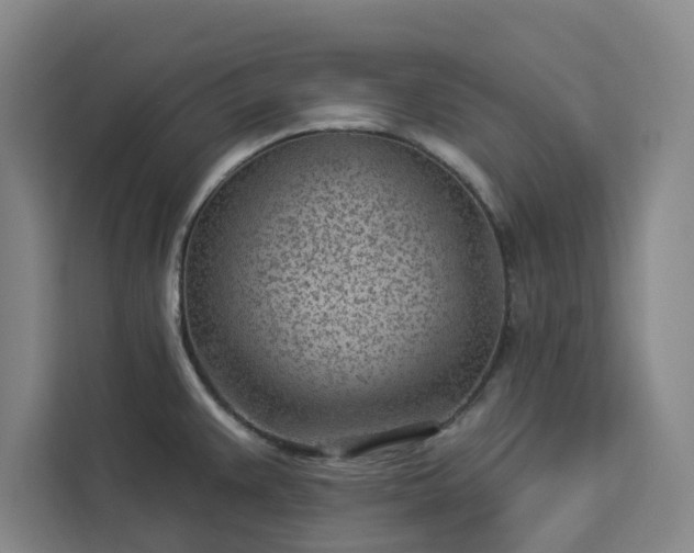 X0000112941383200908311440
