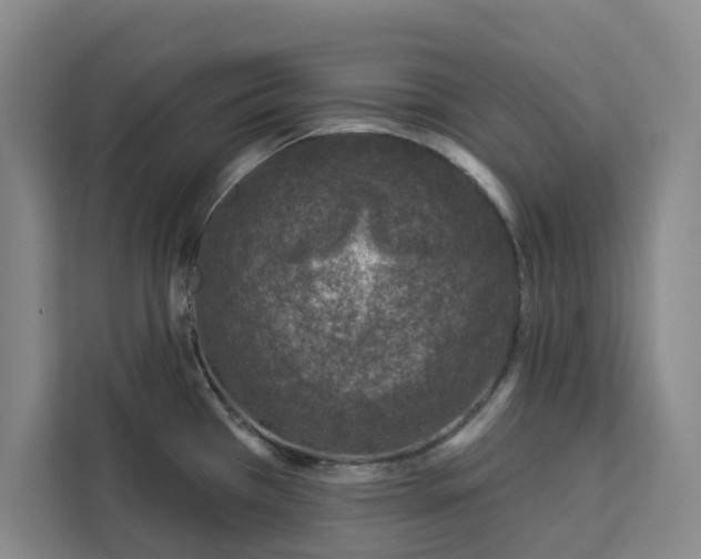 X0000112941385200908311440