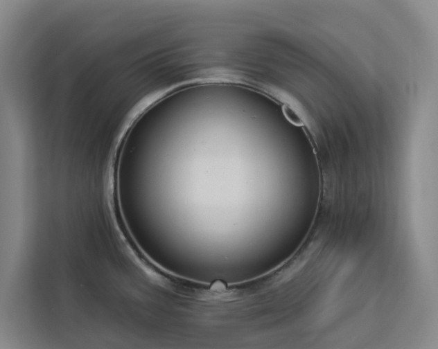 X0000112941387200908311440