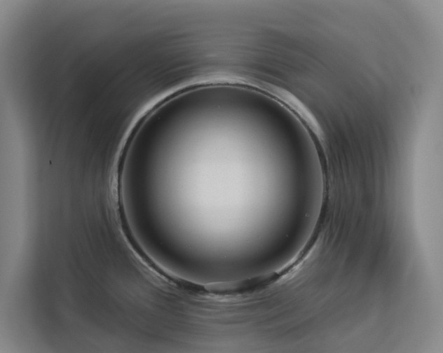 X0000112941388200908311440