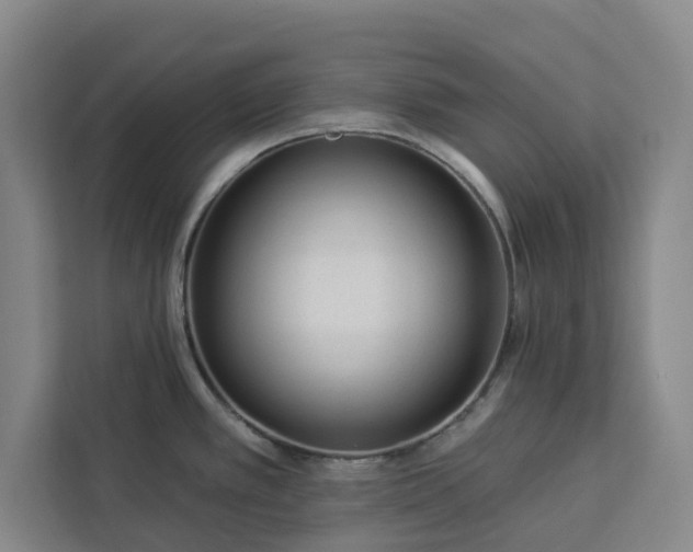 X0000112941389200908311440