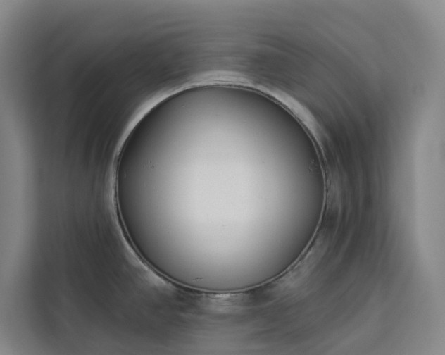 X0000112941390200908311440