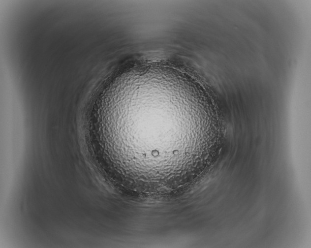 X0000112941393200908311439