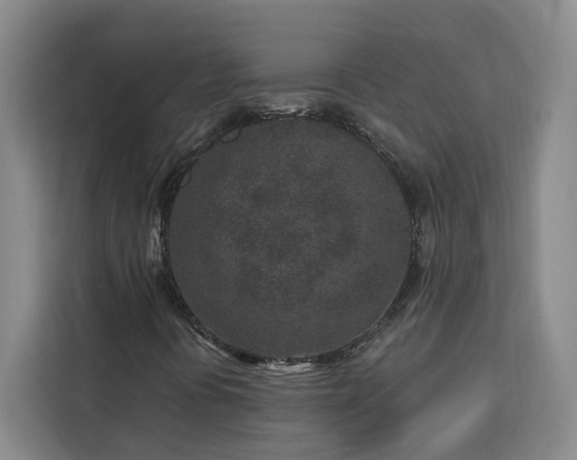 X0000112941394200908311439