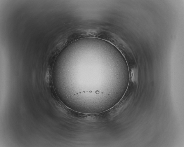 X0000112941395200908311439