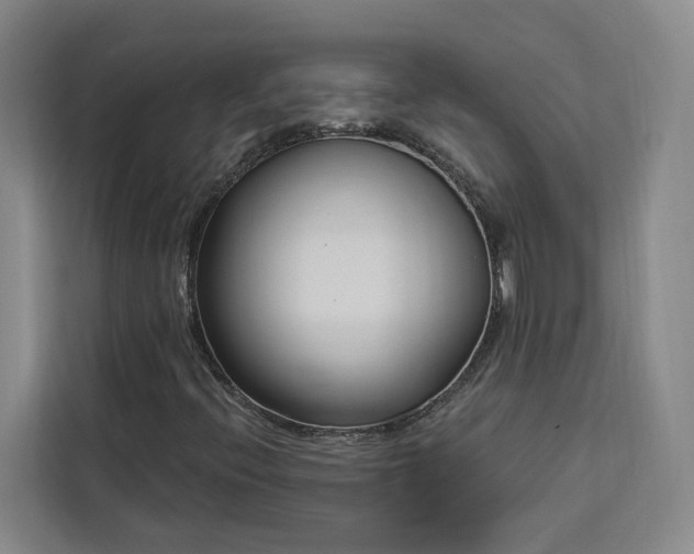 X0000112941396200908311439