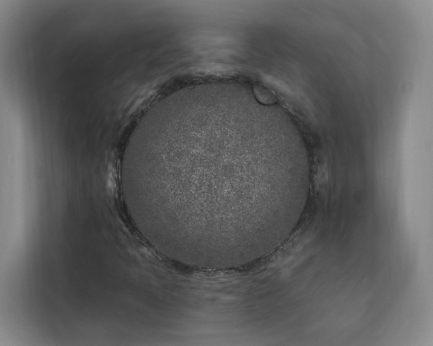 X0000112941397200908311439