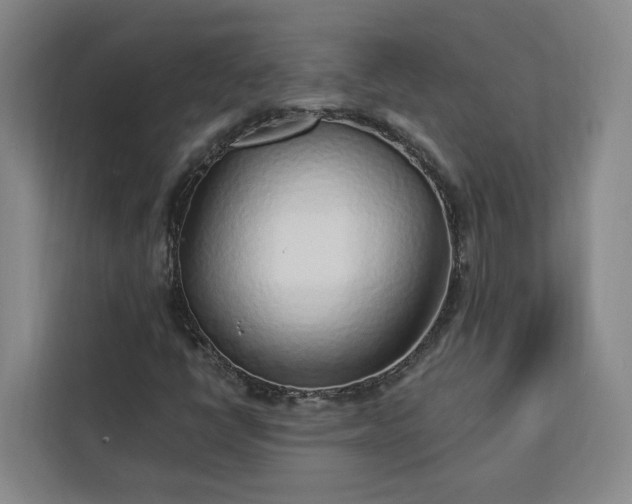 X0000112941398200908311439