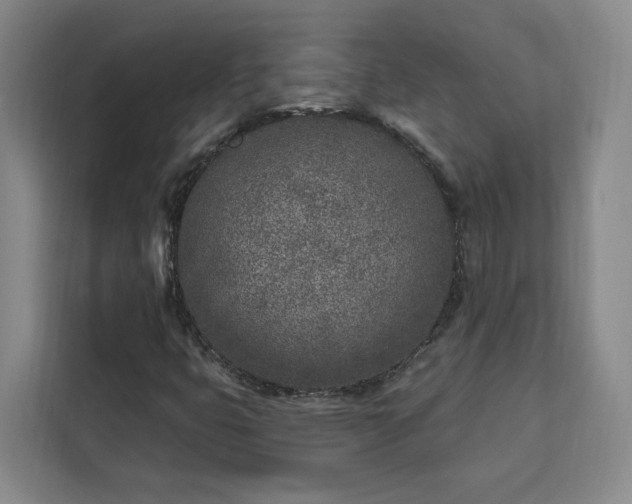 X0000112941399200908311439