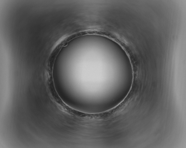 X0000112941400200908311439