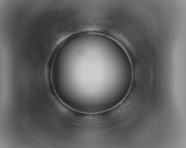 X0000112941404200908311440