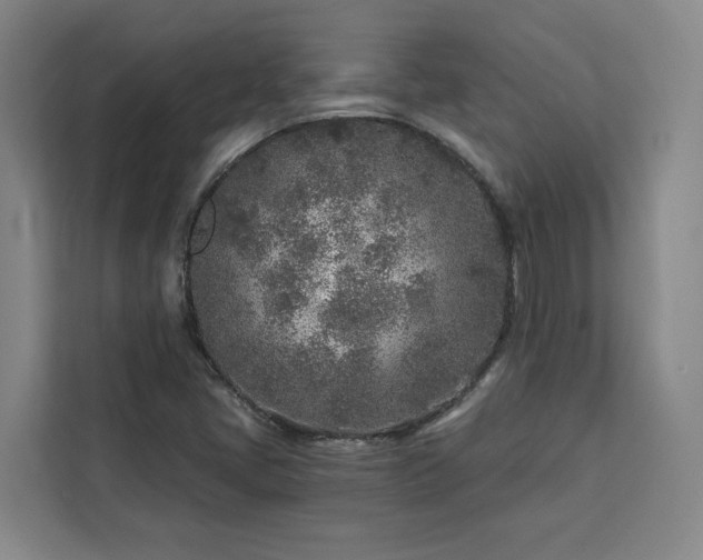 X0000112941405200908311440