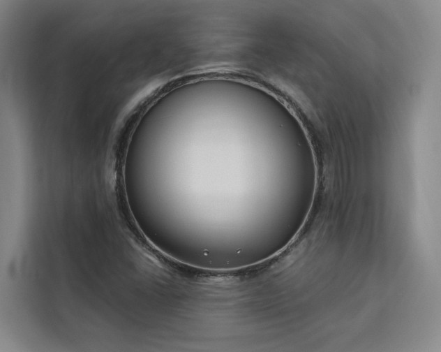 X0000112941406200908311440