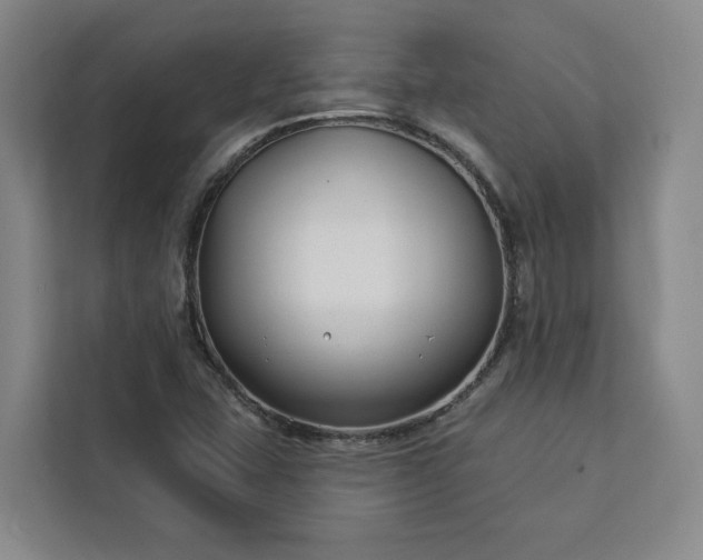 X0000112941407200908311440
