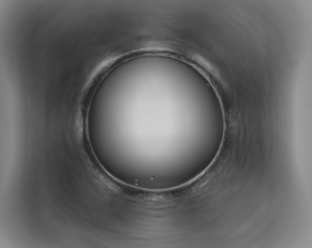 X0000112941408200908311440