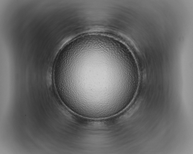 X0000112941409200908311440