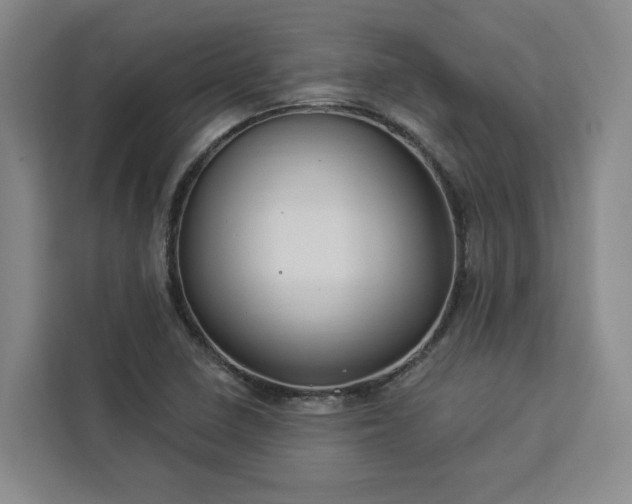 X0000112941410200908311440